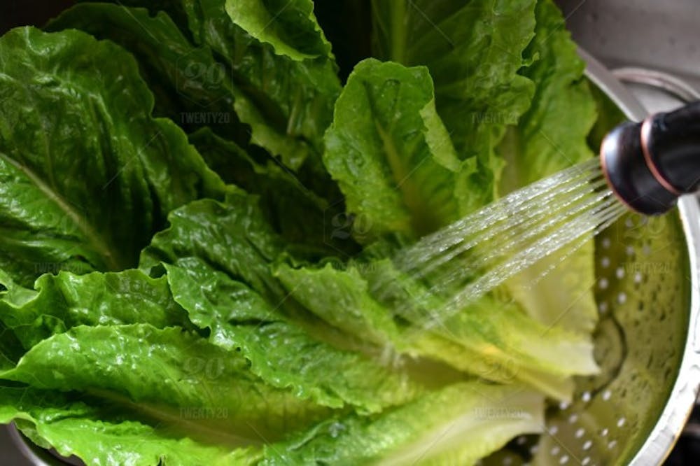 stock-photo-water-food-kitchen-lettuce-fresh-produce-healthy-sink-vegetables-39a1ec60-e4cd-42cc-8d75-d4bf85c0c6bc