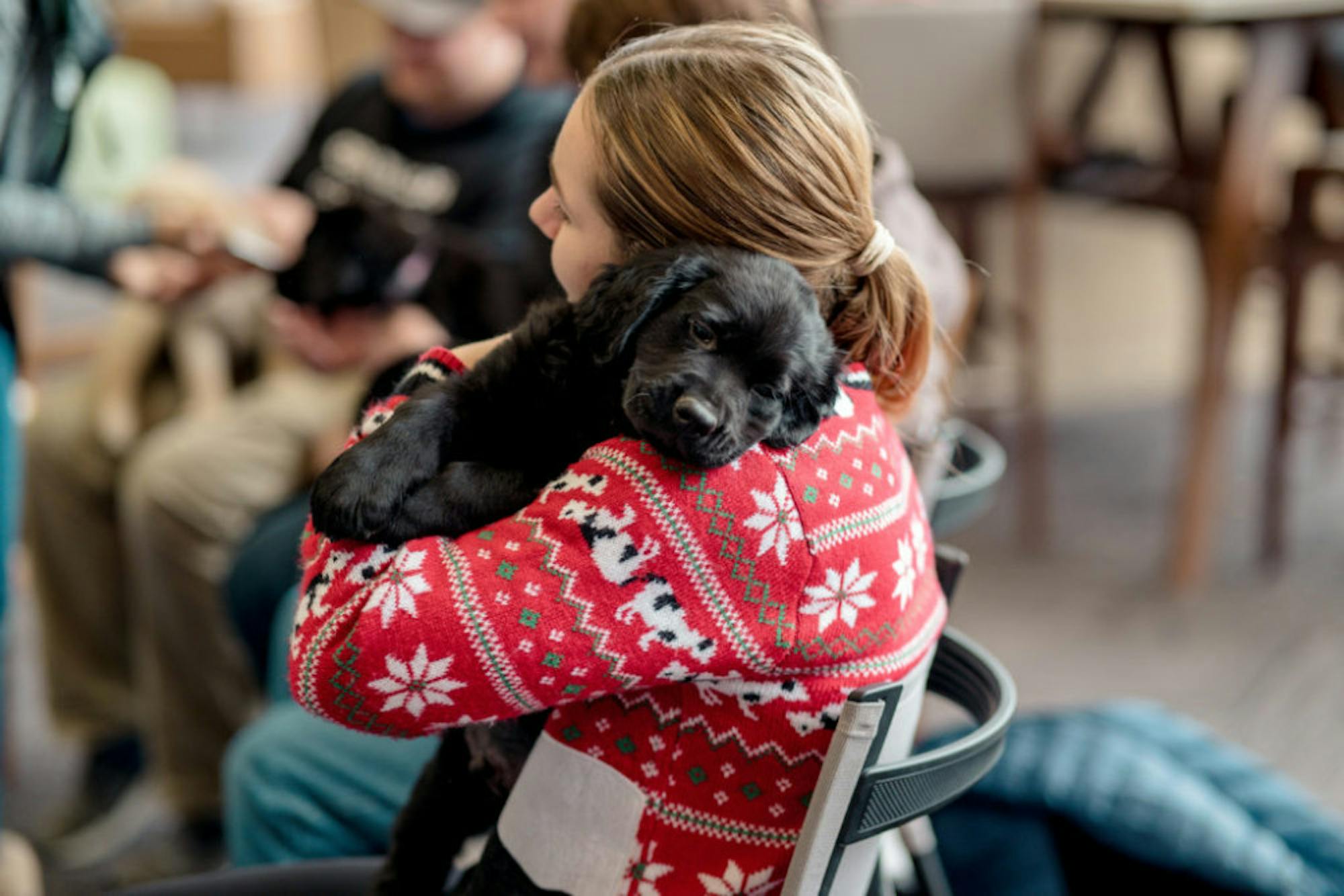 Fuzz Therapy | Photo by Soham Parikh | The Wright State Guardian