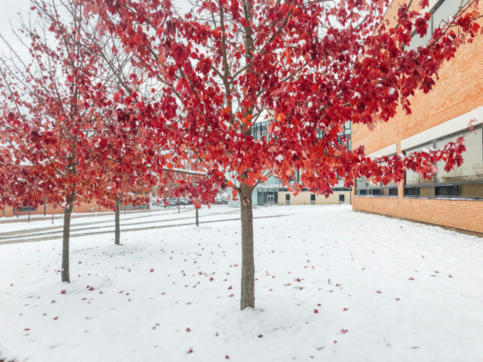 Wright State campus after first snowfall of the season | Photograph by Soham Parikh | The Wright State Guardian