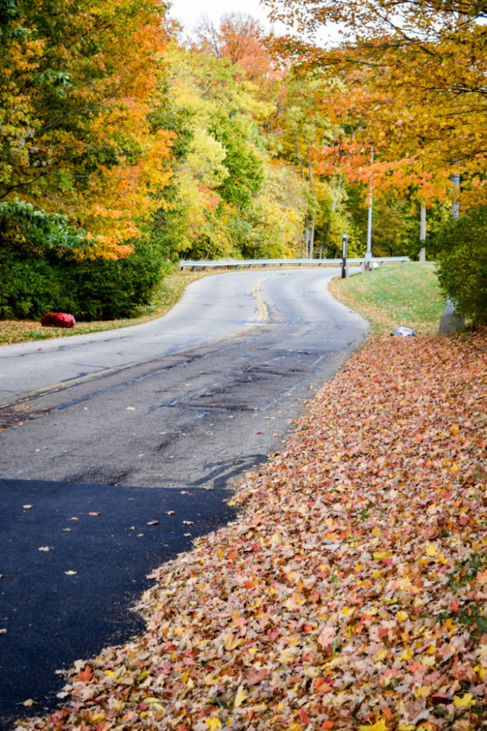 Fall on Campus | Photo by Jessica Fugett | The Wright State Guardian