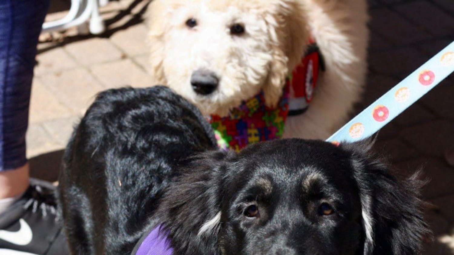 9B7ACF56-D651-4F6C-8363-99007E7C988C