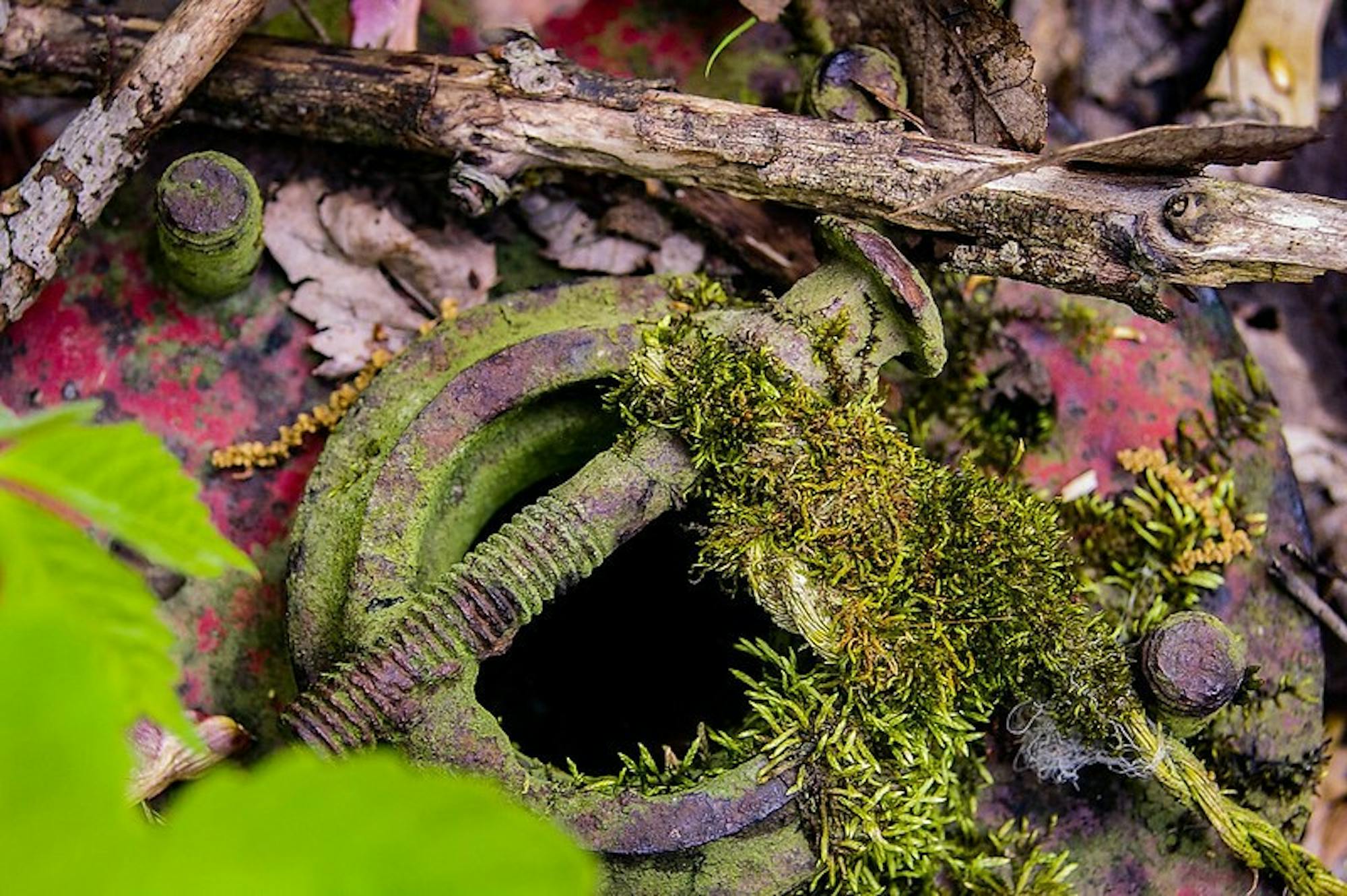 49939000118_a4610b8170_c