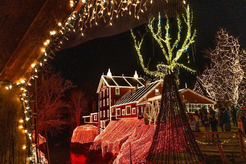 50755126858_a76e0ef282_c