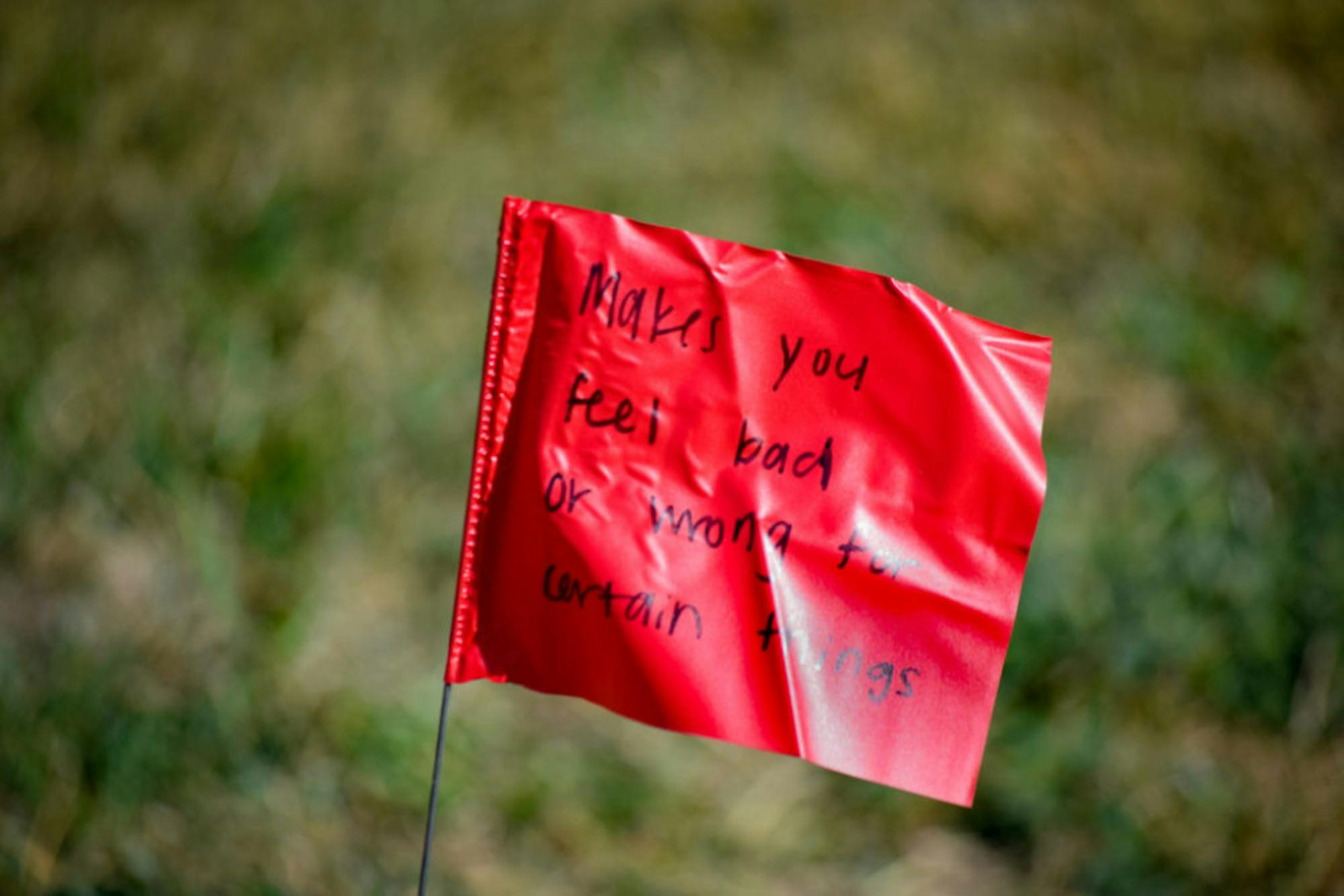 Domestic Violence Awareness Week | Photo by Jessica Fugett | The Wright State Guardian