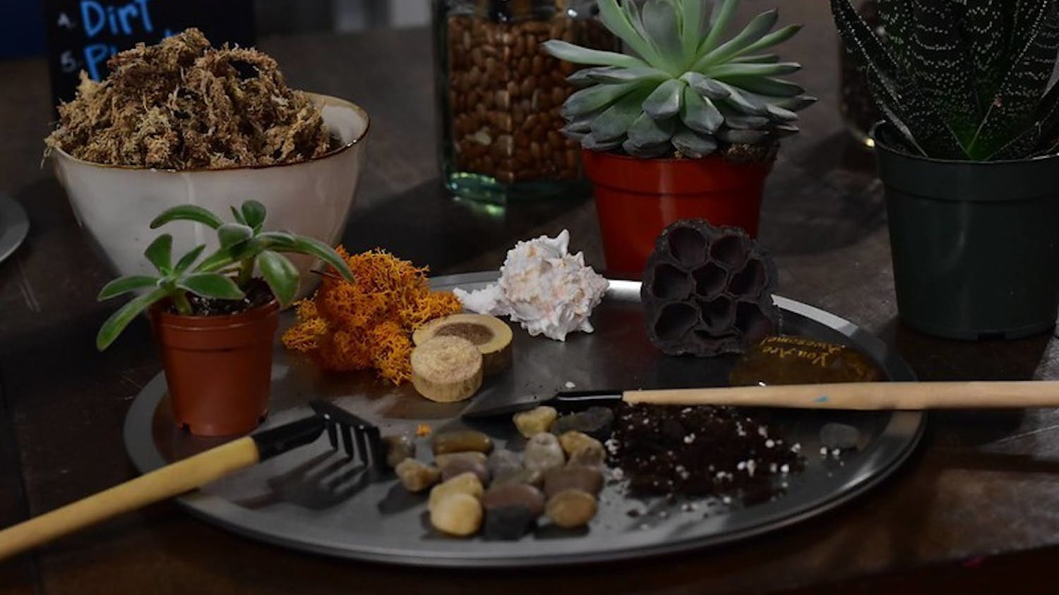 51647401514_04981f0b68_c