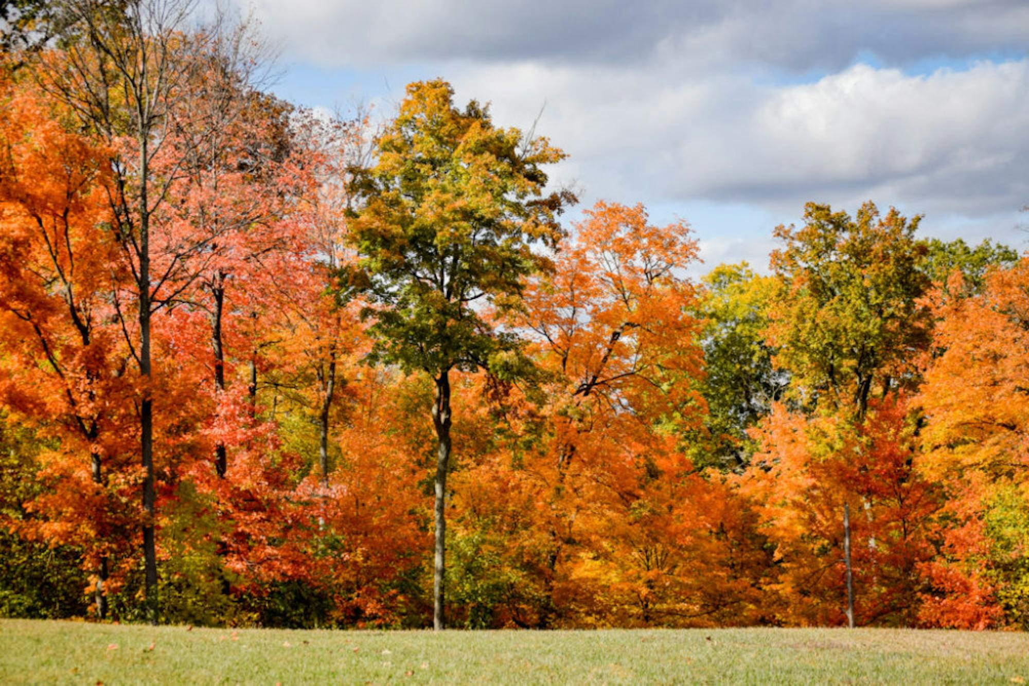 Fall on Campus | Photo by Jessica Fugett | The Wright State Guardian