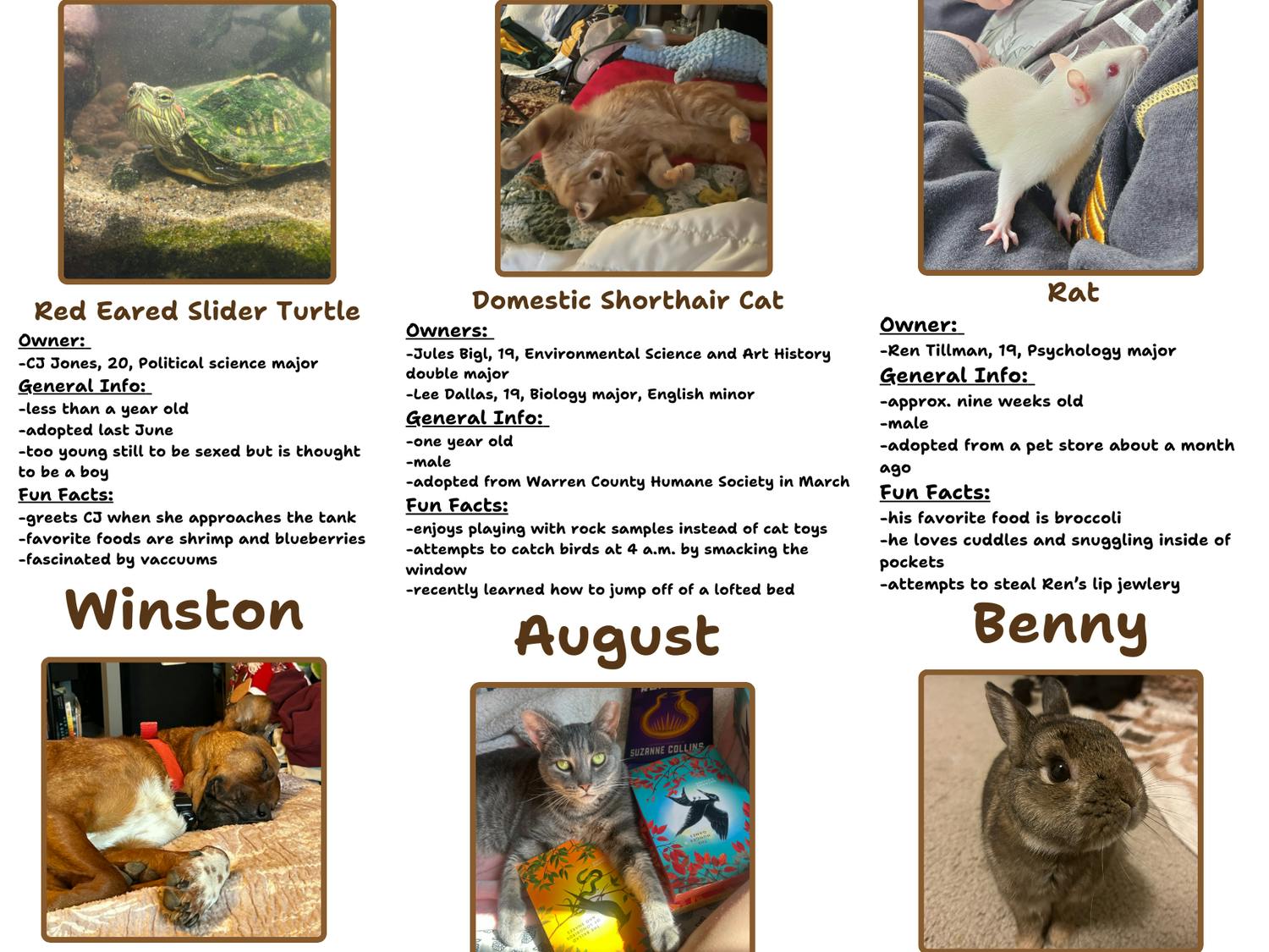 pets on campus for when the going gets ruff