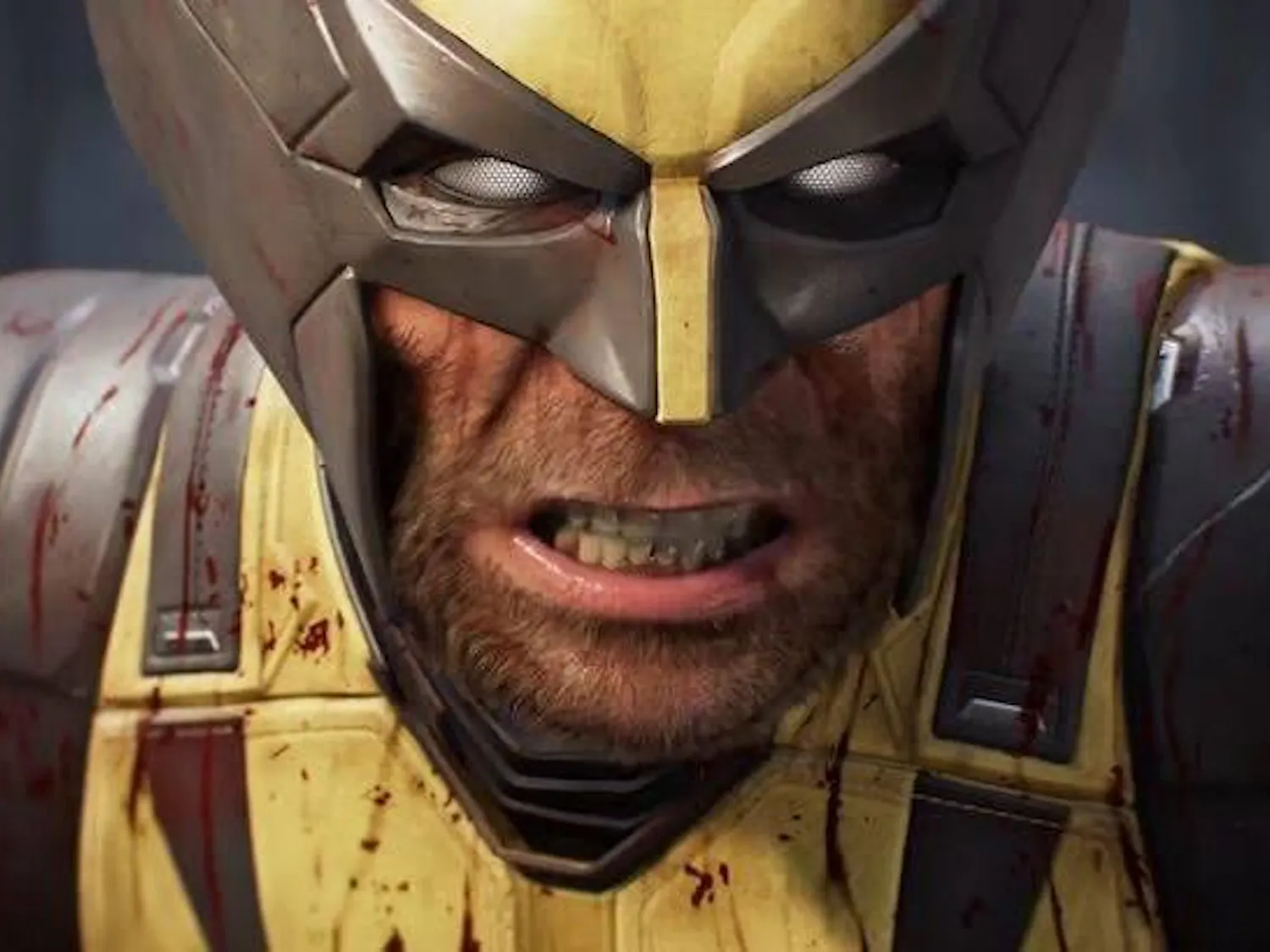 insomniac-wolverine.jpeg