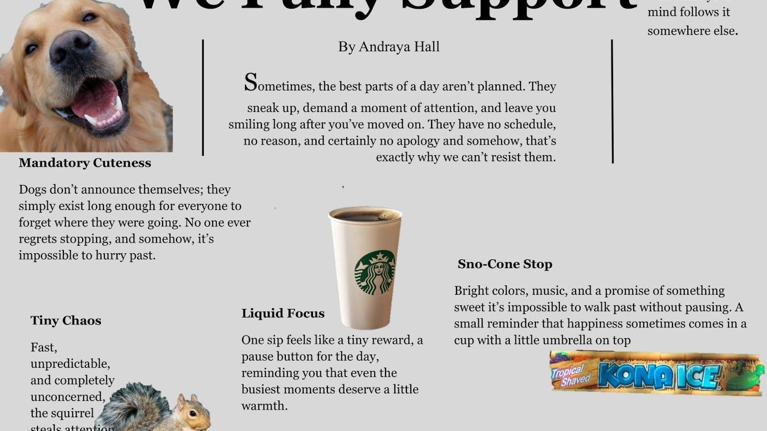 Distractions We Fully Support