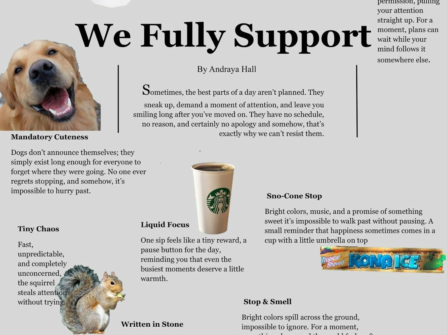 Distractions We Fully Support