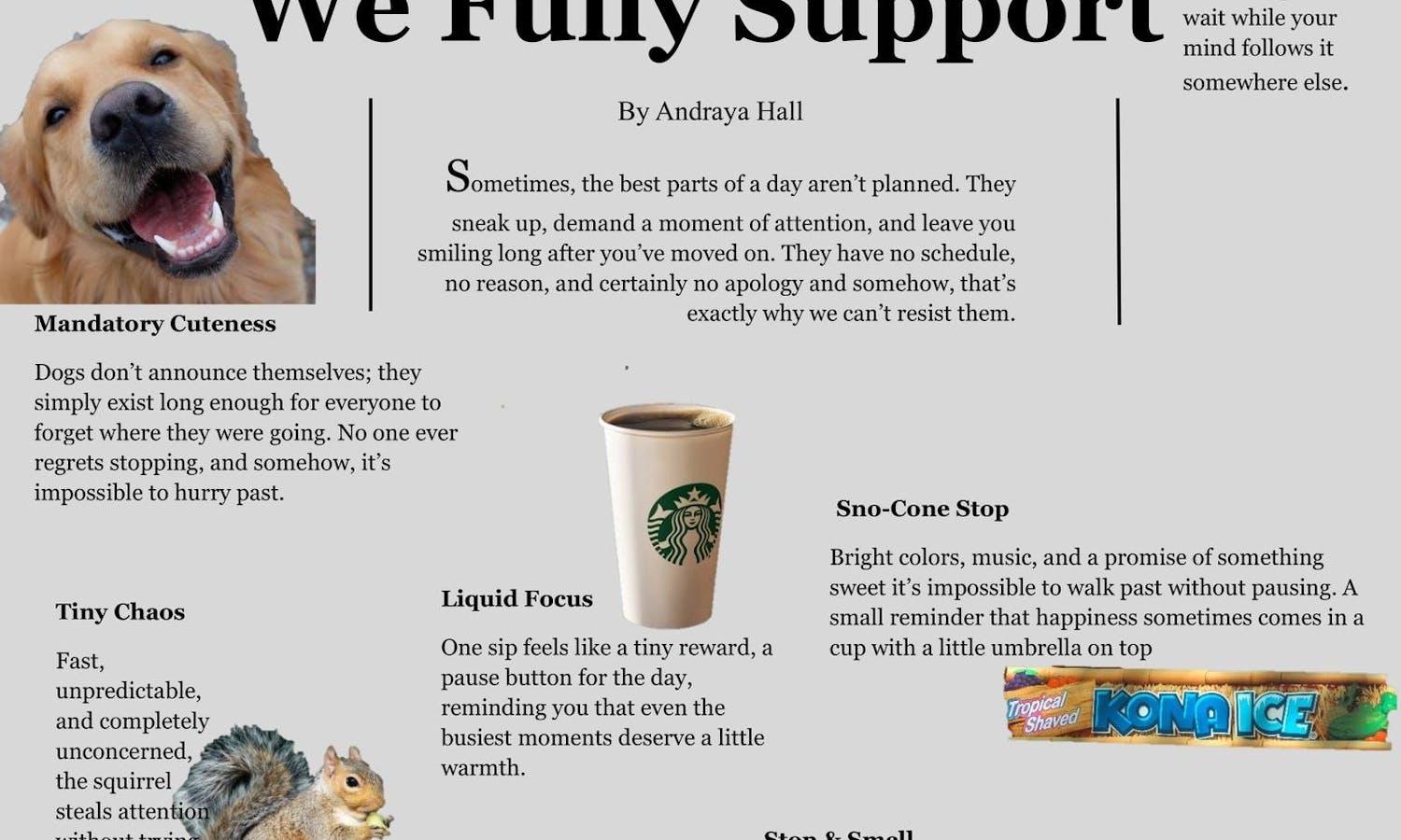 Distractions We Fully Support